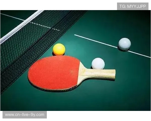乒乓球技术与战术深度解析 提升竞技水平与实战能力的全方位指南