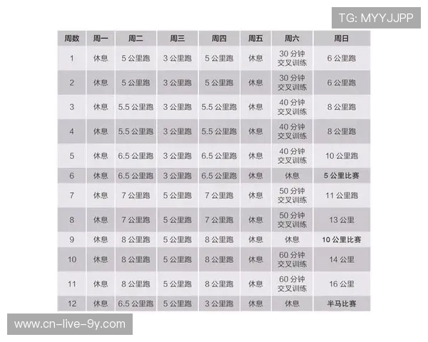 打造健康体魄 从科学健身开始 提升力量与耐力的全面计划