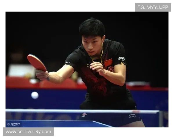 广州乒乓球队在世界锦标赛中的技术表现与战术分析探讨