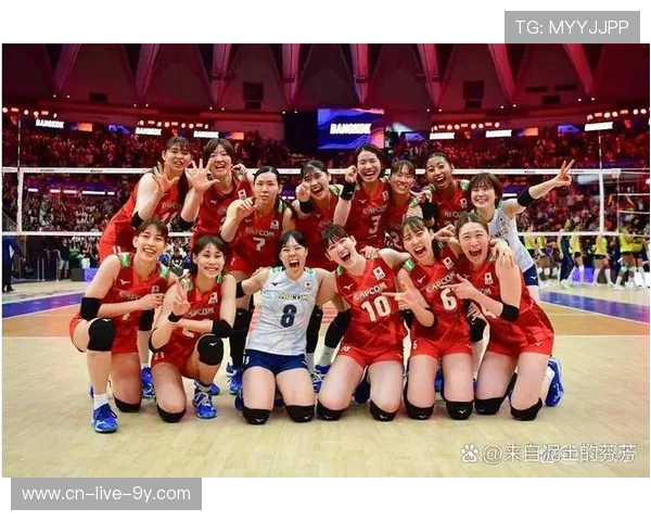 排球配合排名：南京排球队创新高